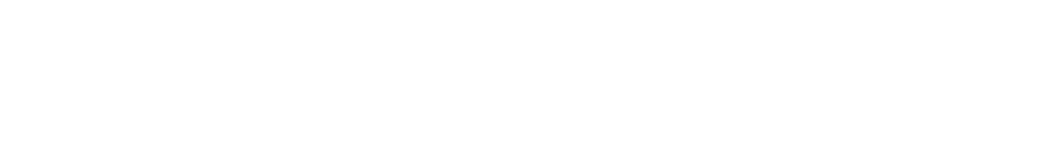DigitalNewX Logo